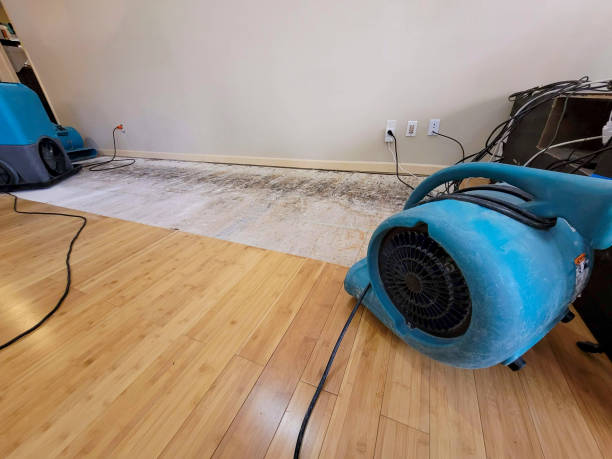 Professional Basement Flood Cleanup technician working in Mesa, WA